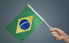 Bandeira do Brasil com cabo plastico 14cm x 20cm