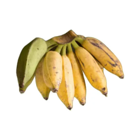 Banana da Terra Fresca Kg