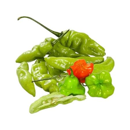 Pimenta de Cheiro Fresca Kg